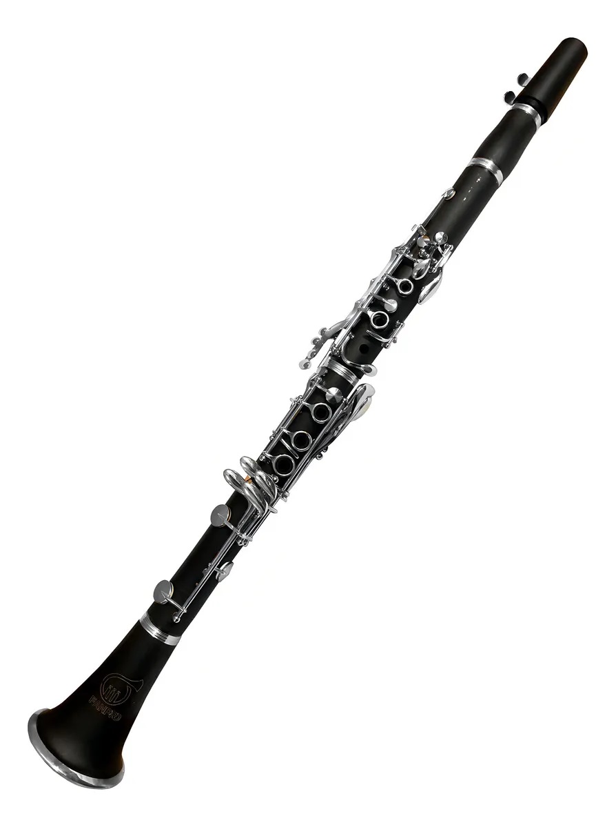 CLARINETE FANPRO SI BEMOL